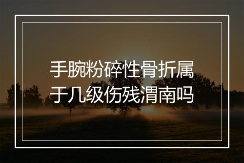 手腕粉碎性骨折属于几级伤残渭南吗