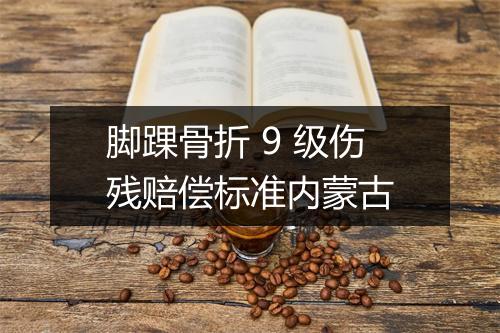 脚踝骨折 9 级伤残赔偿标准内蒙古