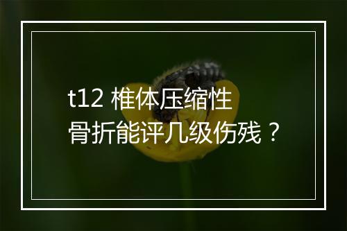 t12 椎体压缩性骨折能评几级伤残？