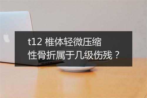 t12 椎体轻微压缩性骨折属于几级伤残？