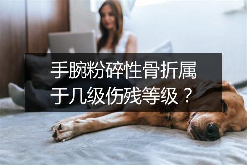 手腕粉碎性骨折属于几级伤残等级？