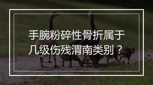 手腕粉碎性骨折属于几级伤残渭南类别？