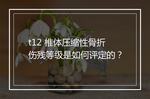 t12 椎体压缩性骨折伤残等级是如何评定的？