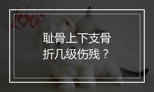 耻骨上下支骨折几级伤残？