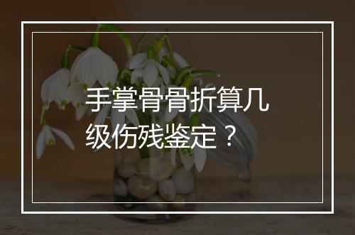 手掌骨骨折算几级伤残鉴定？