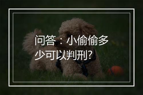 问答：小偷偷多少可以判刑?