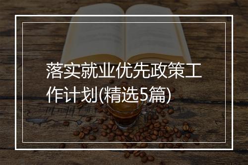 落实就业优先政策工作计划(精选5篇)