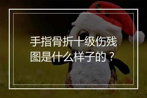 手指骨折十级伤残图是什么样子的？