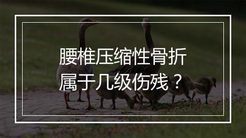 腰椎压缩性骨折属于几级伤残？