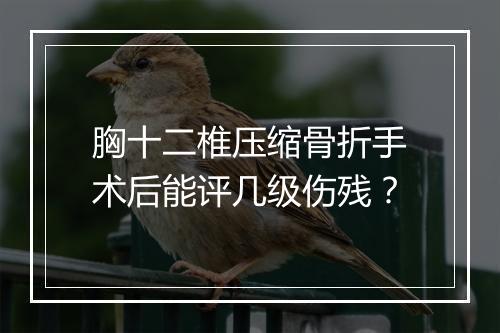 胸十二椎压缩骨折手术后能评几级伤残？