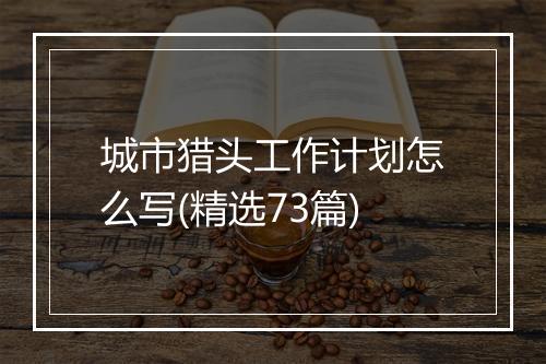 城市猎头工作计划怎么写(精选73篇)