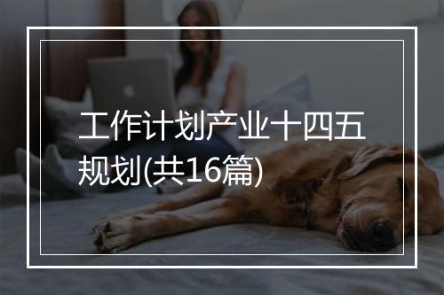 工作计划产业十四五规划(共16篇)