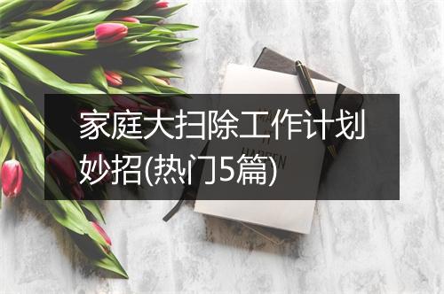 家庭大扫除工作计划妙招(热门5篇)