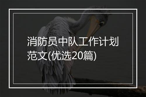 消防员中队工作计划范文(优选20篇)