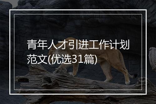 青年人才引进工作计划范文(优选31篇)
