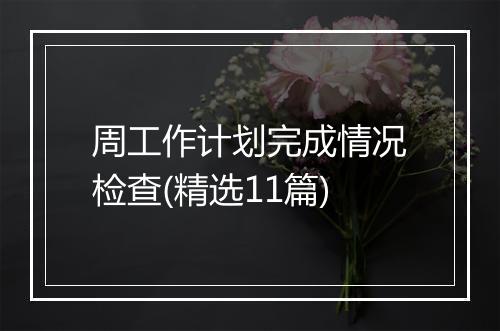 周工作计划完成情况检查(精选11篇)
