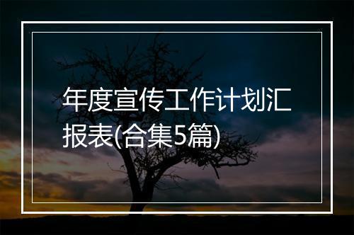 年度宣传工作计划汇报表(合集5篇)