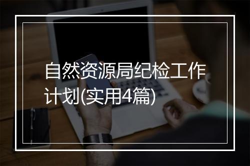 自然资源局纪检工作计划(实用4篇)