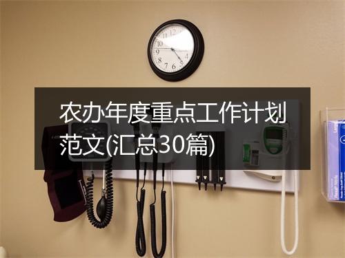 农办年度重点工作计划范文(汇总30篇)