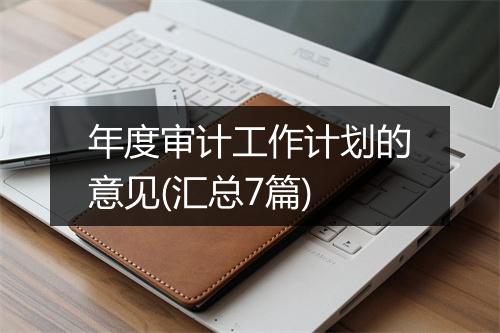 年度审计工作计划的意见(汇总7篇)