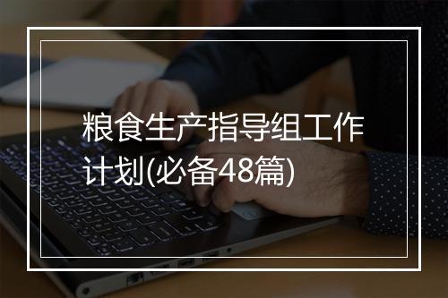 粮食生产指导组工作计划(必备48篇)