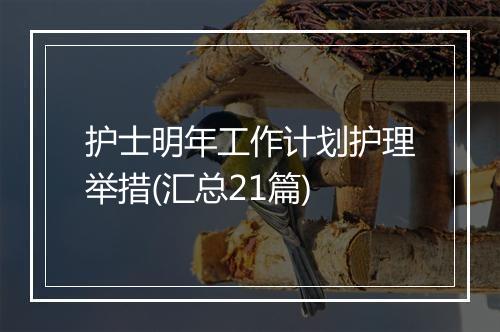 护士明年工作计划护理举措(汇总21篇)
