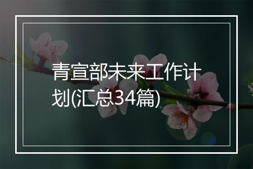 青宣部未来工作计划(汇总34篇)