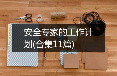 安全专家的工作计划(合集11篇)