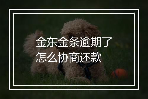 金东金条逾期了怎么协商还款