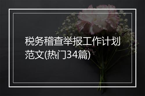 税务稽查举报工作计划范文(热门34篇)