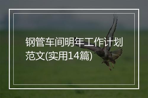 钢管车间明年工作计划范文(实用14篇)