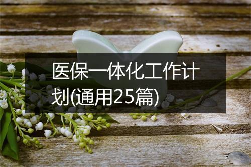 医保一体化工作计划(通用25篇)
