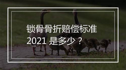 锁骨骨折赔偿标准 2021 是多少？