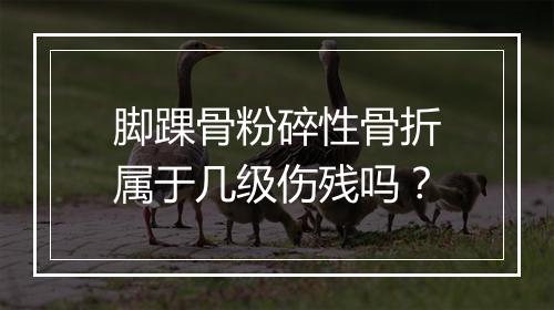 脚踝骨粉碎性骨折属于几级伤残吗？