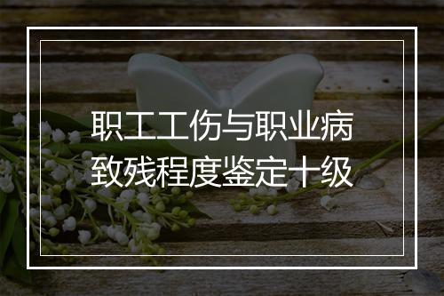 职工工伤与职业病致残程度鉴定十级