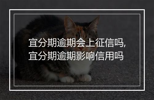 宜分期逾期会上征信吗,宜分期逾期影响信用吗