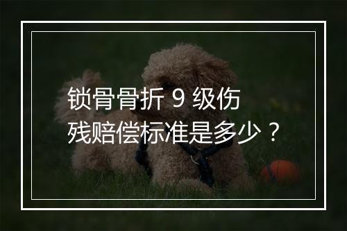 锁骨骨折 9 级伤残赔偿标准是多少？