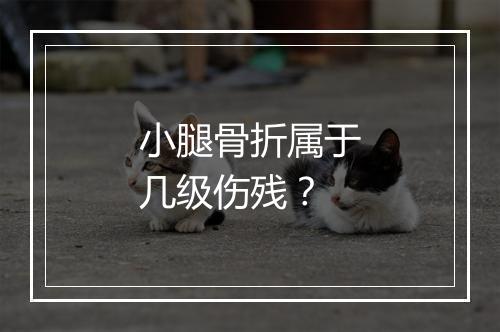 小腿骨折属于几级伤残？