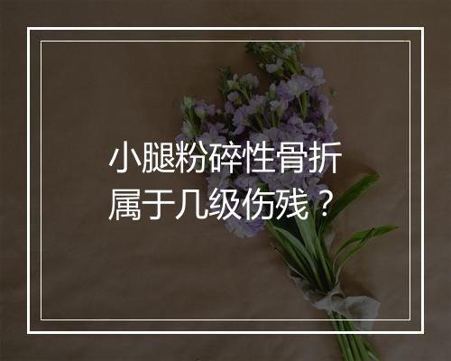 小腿粉碎性骨折属于几级伤残？