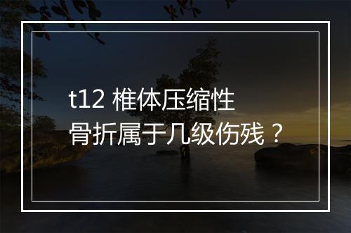 t12 椎体压缩性骨折属于几级伤残？