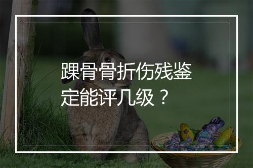 踝骨骨折伤残鉴定能评几级？