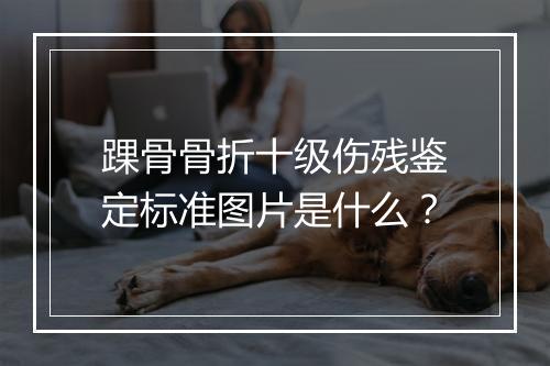 踝骨骨折十级伤残鉴定标准图片是什么？
