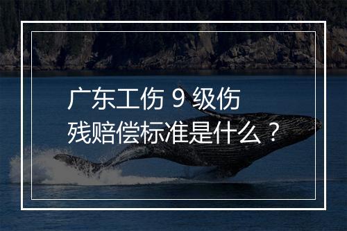 广东工伤 9 级伤残赔偿标准是什么？