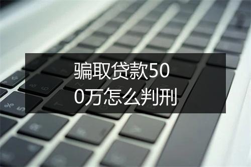 骗取贷款500万怎么判刑