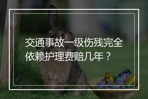 交通事故一级伤残完全依赖护理费赔几年？