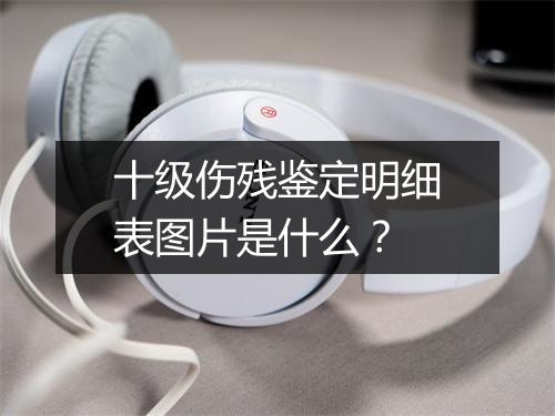 十级伤残鉴定明细表图片是什么？