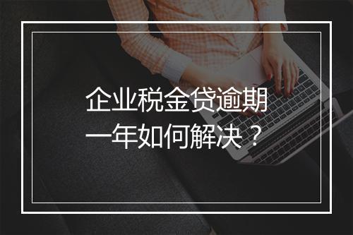 企业税金贷逾期一年如何解决？