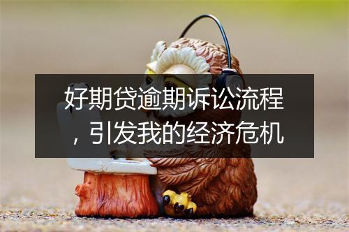 好期贷逾期诉讼流程，引发我的经济危机