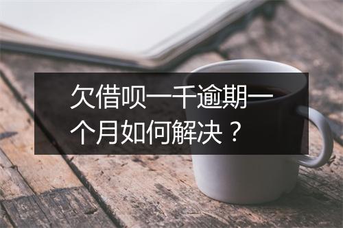 欠借呗一千逾期一个月如何解决？