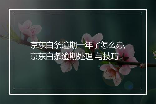 京东白条逾期一年了怎么办,京东白条逾期处理 与技巧